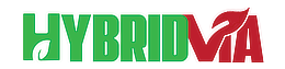 Hybridvia