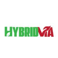 Hybridvia